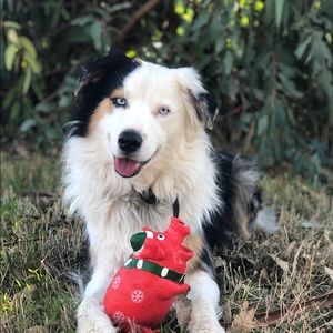 Meet your Posher, Cara